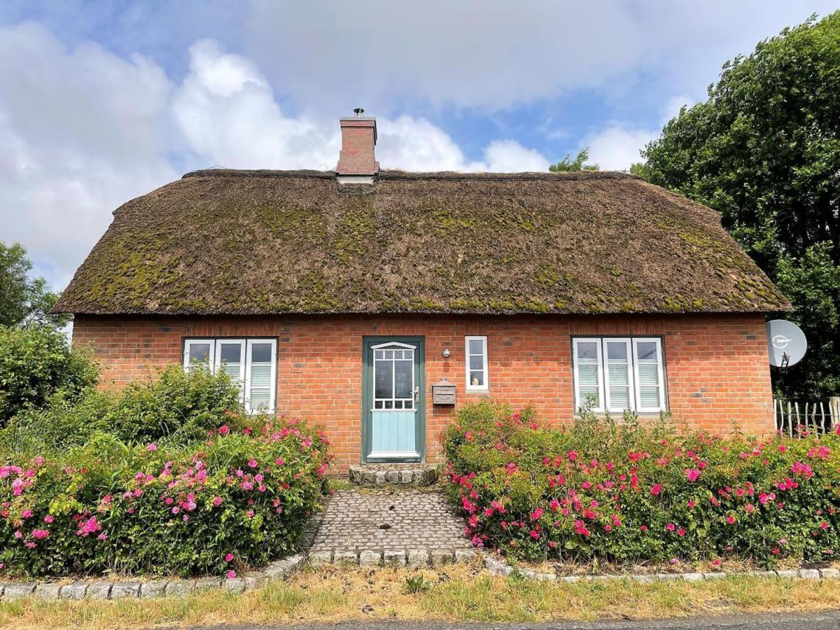 Das Puppenhaus, Reetdach, Sauna, Kamin, Eingezaeunt, Badewanne, Haustiere Willkommen Emmelsbull-Horsbull Bagian luar foto