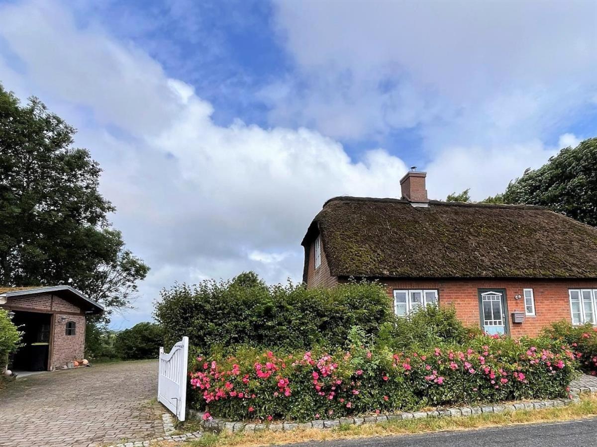 Das Puppenhaus, Reetdach, Sauna, Kamin, Eingezaeunt, Badewanne, Haustiere Willkommen Emmelsbull-Horsbull Bagian luar foto